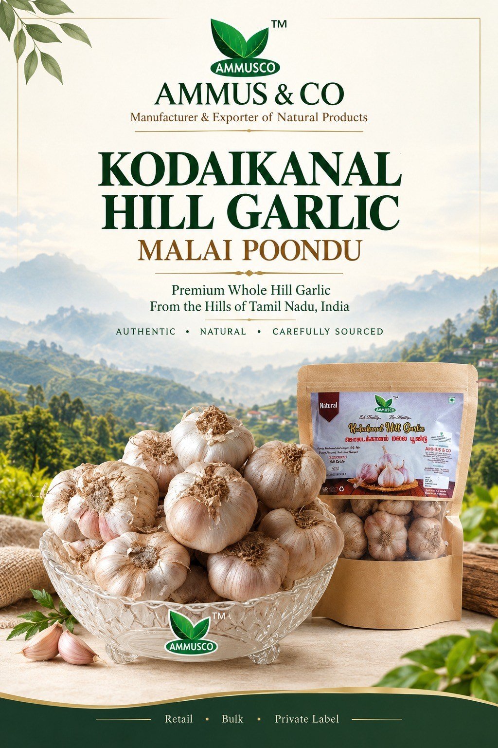 Kodaikanal Hill Garlic (Malai Poondu) whole bulbs and retail pack from AMMUS & CO